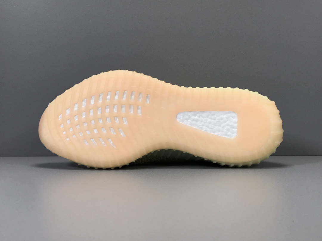 Adidas Yeezy Boost 350 V2 “ANTLRF”