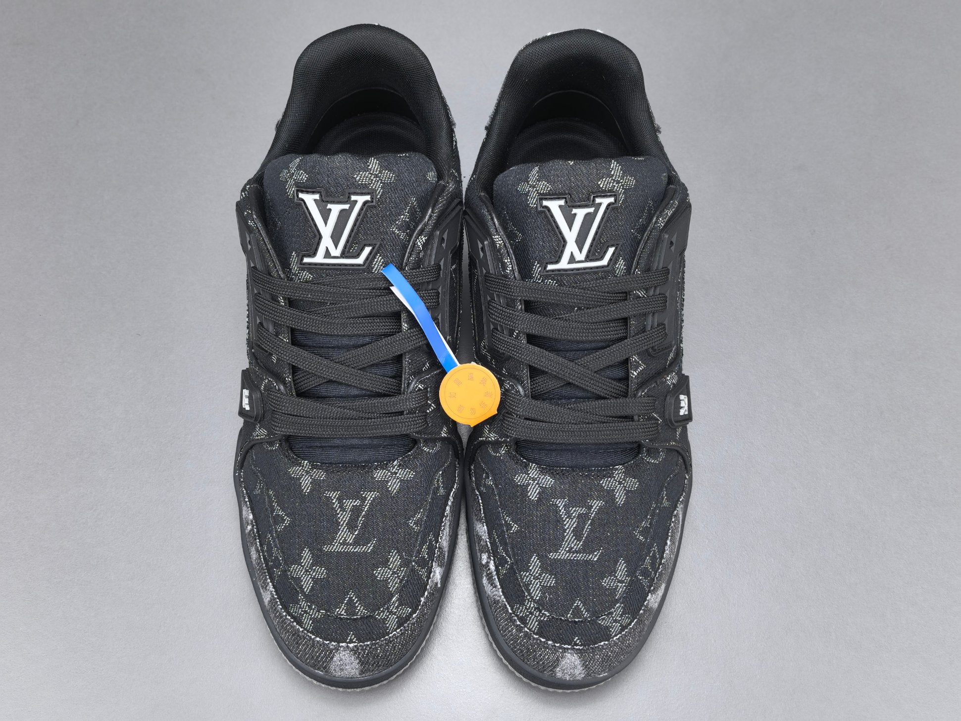 Lv Trainer