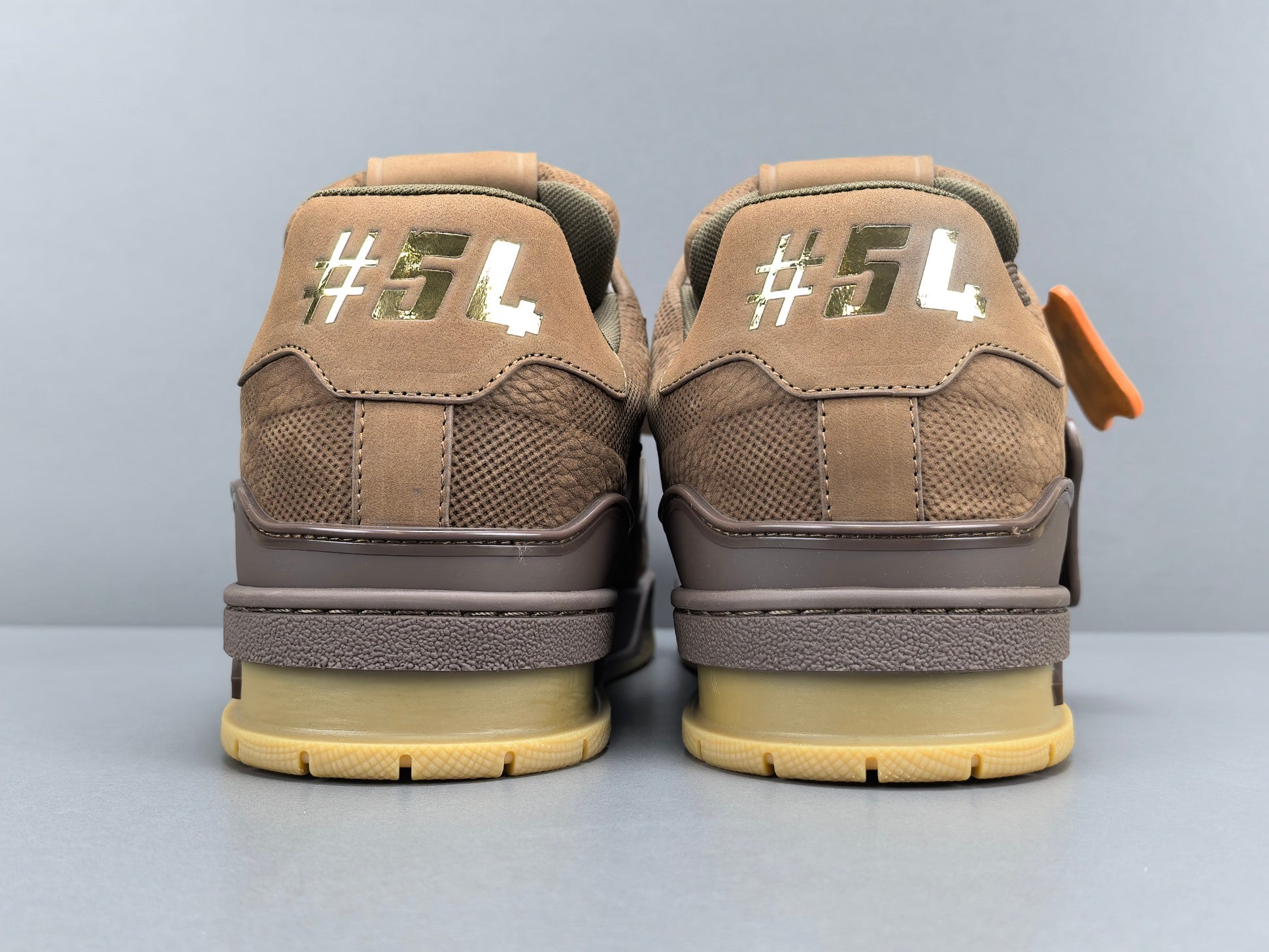 Lv Trainer