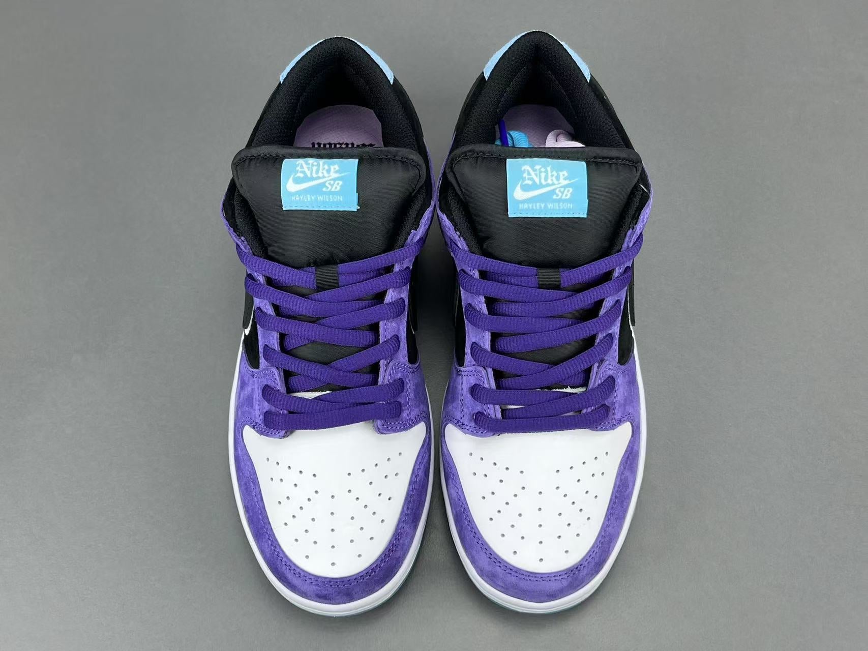 Hayley Wilson x Nike Dunk SB DUNK LOW PRO
