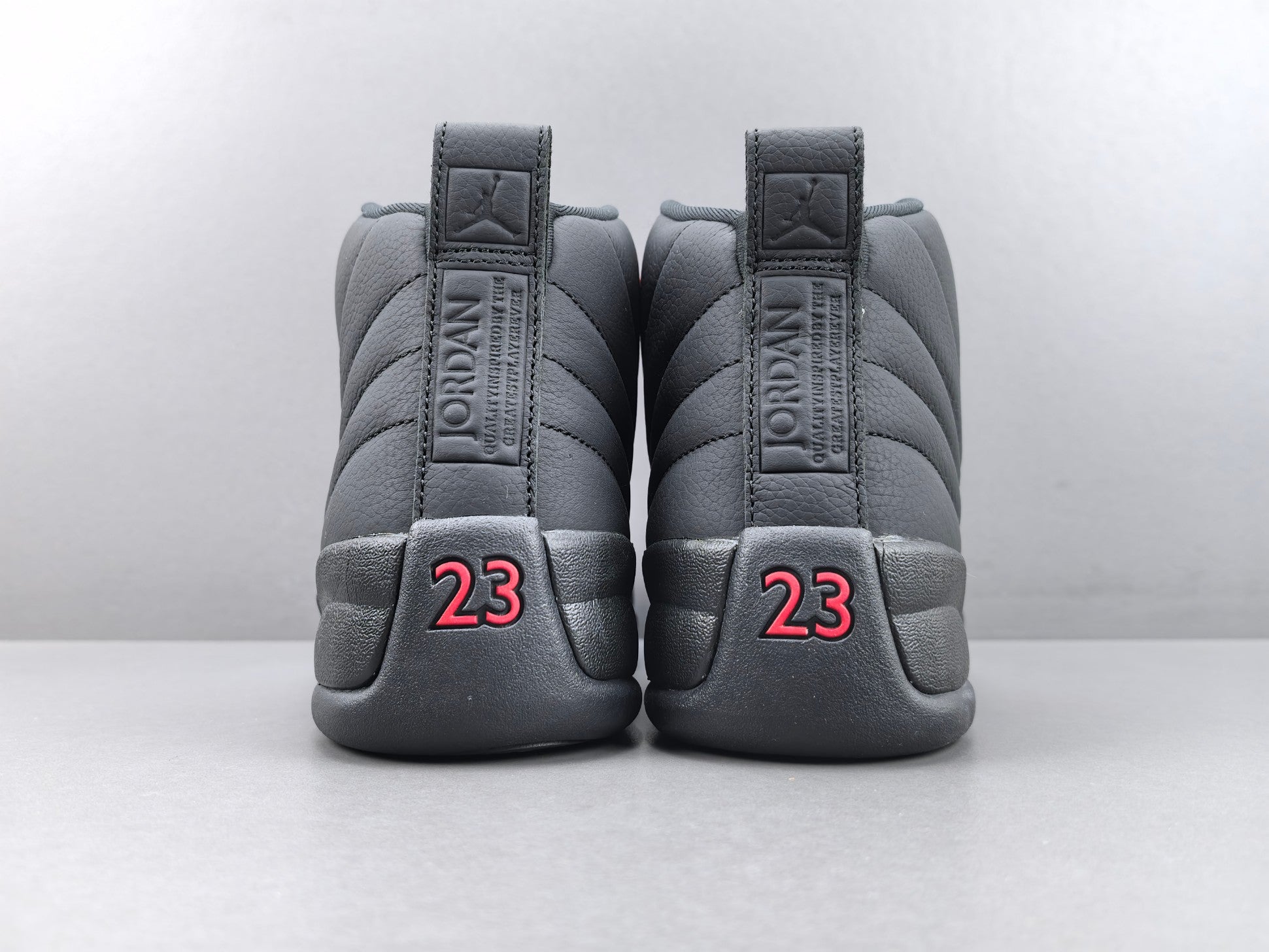 Jordan Air Jordan 12 Retro "Bloodline"
