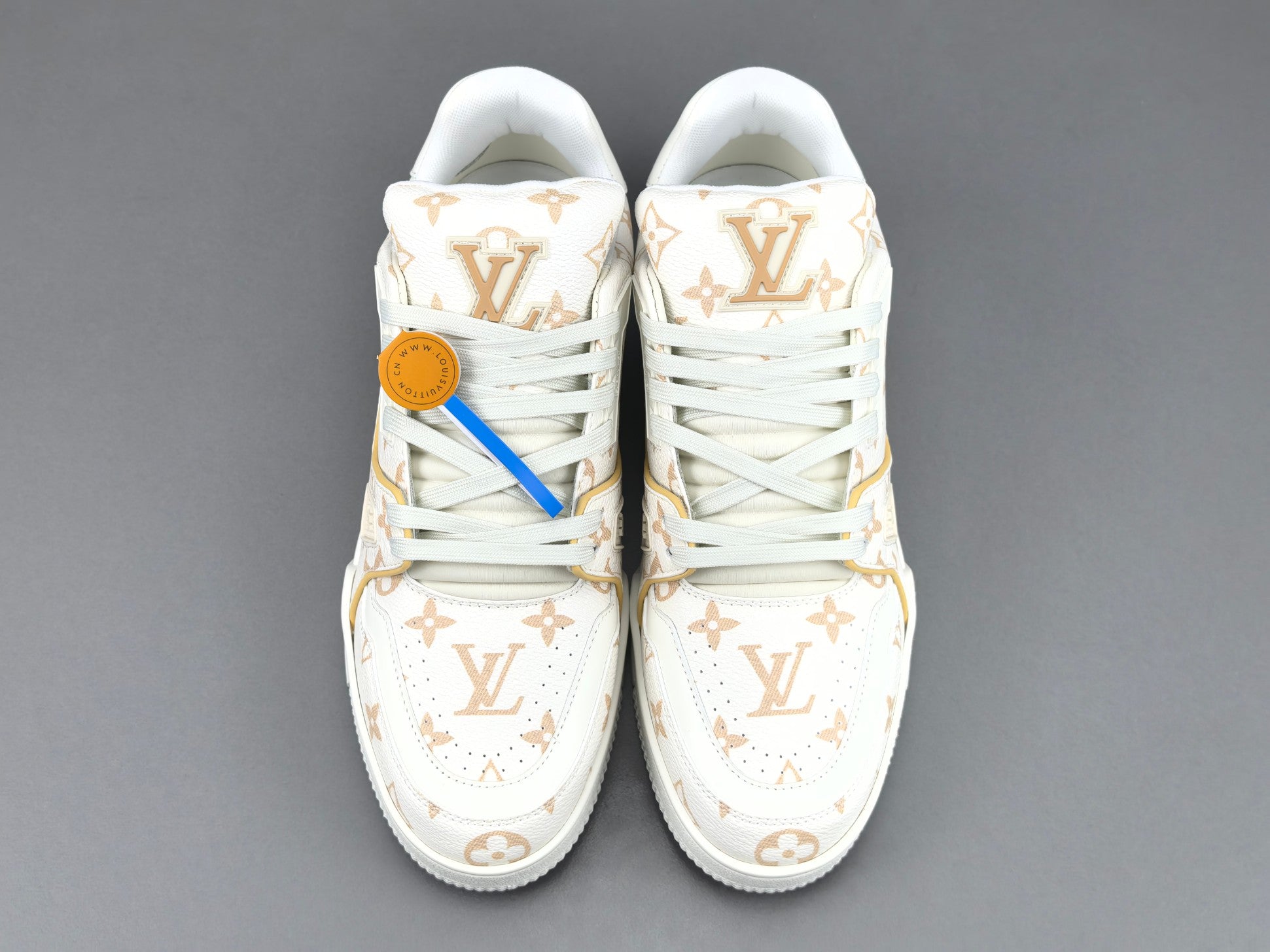 Lv Trainer