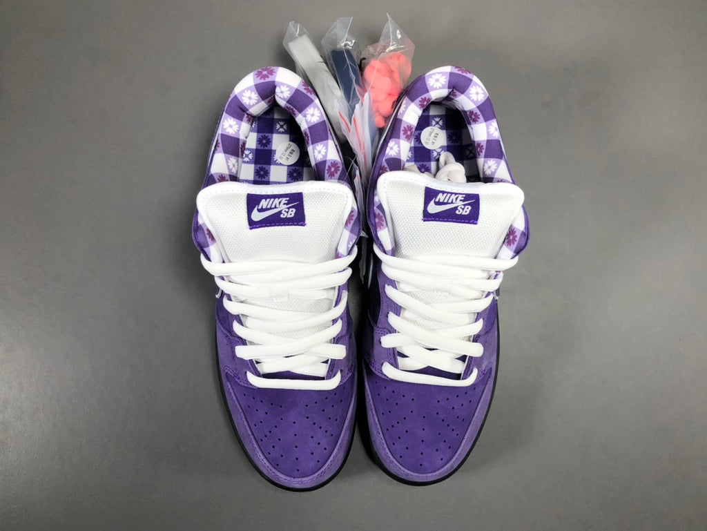Concepts x NK SB Dunk Low