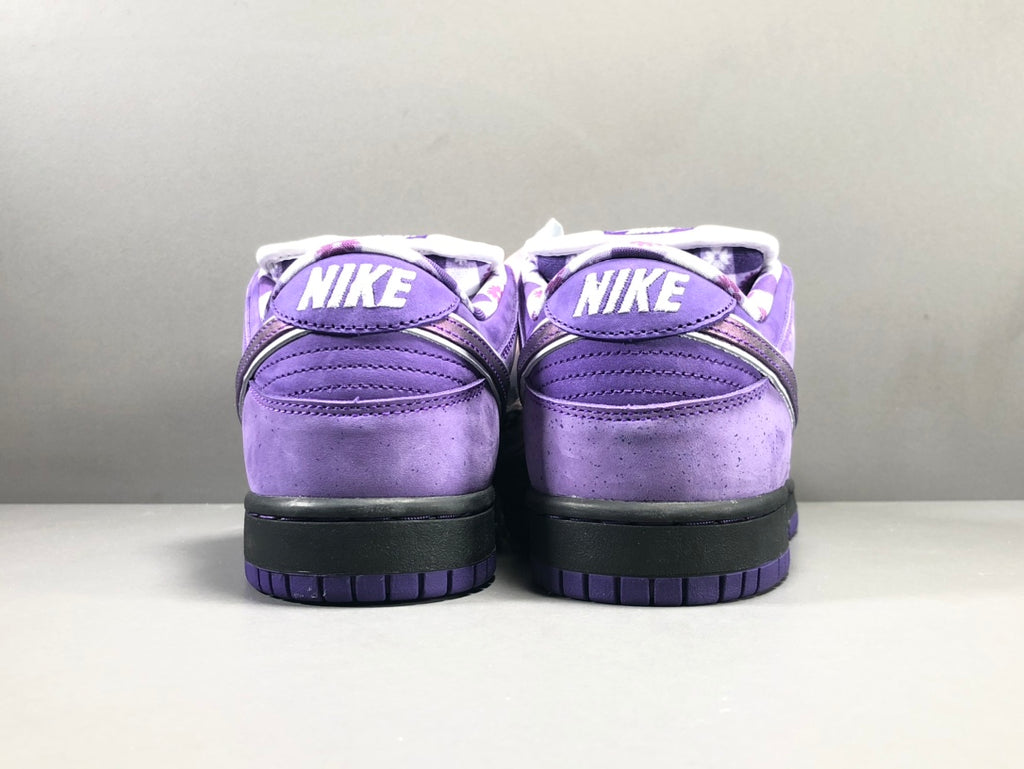 Concepts x NK SB Dunk Low