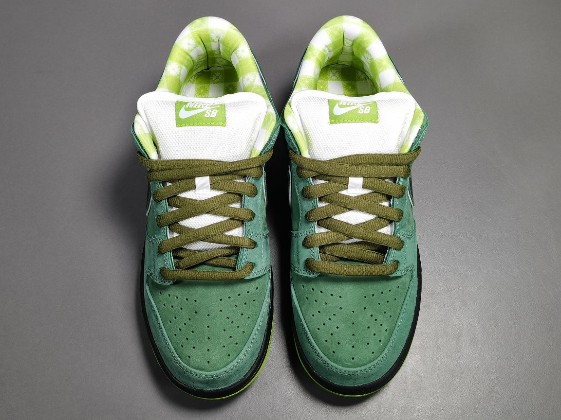 Concepts x NK SB Dunk Low