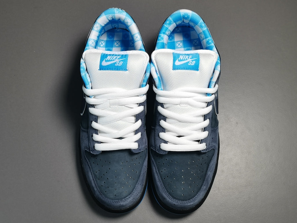 Concepts x NK SB Dunk Low