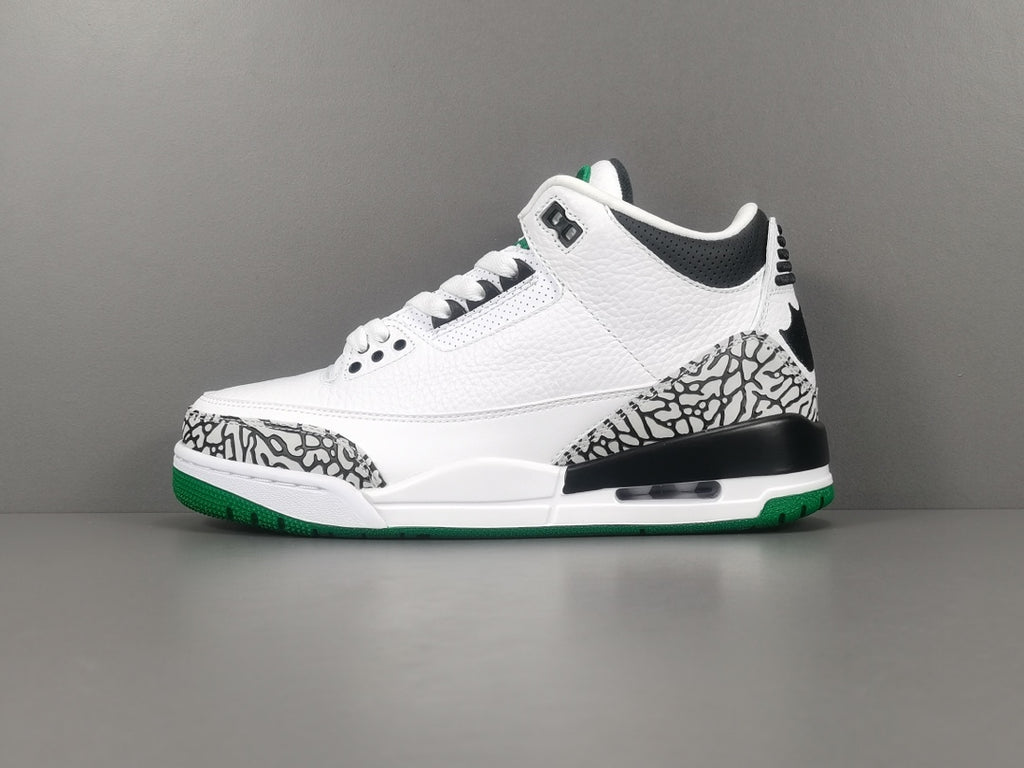 Air Jordan 3 Retro Oregon Ducks Pit Crew