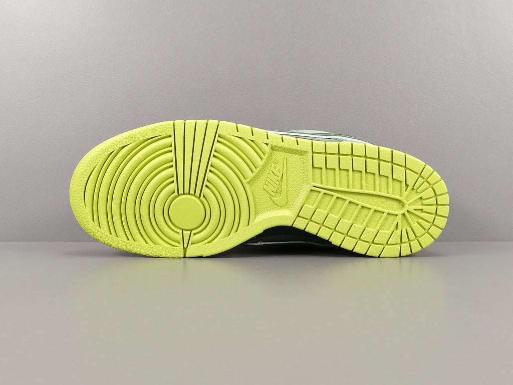 Concepts x NK SB Dunk Low