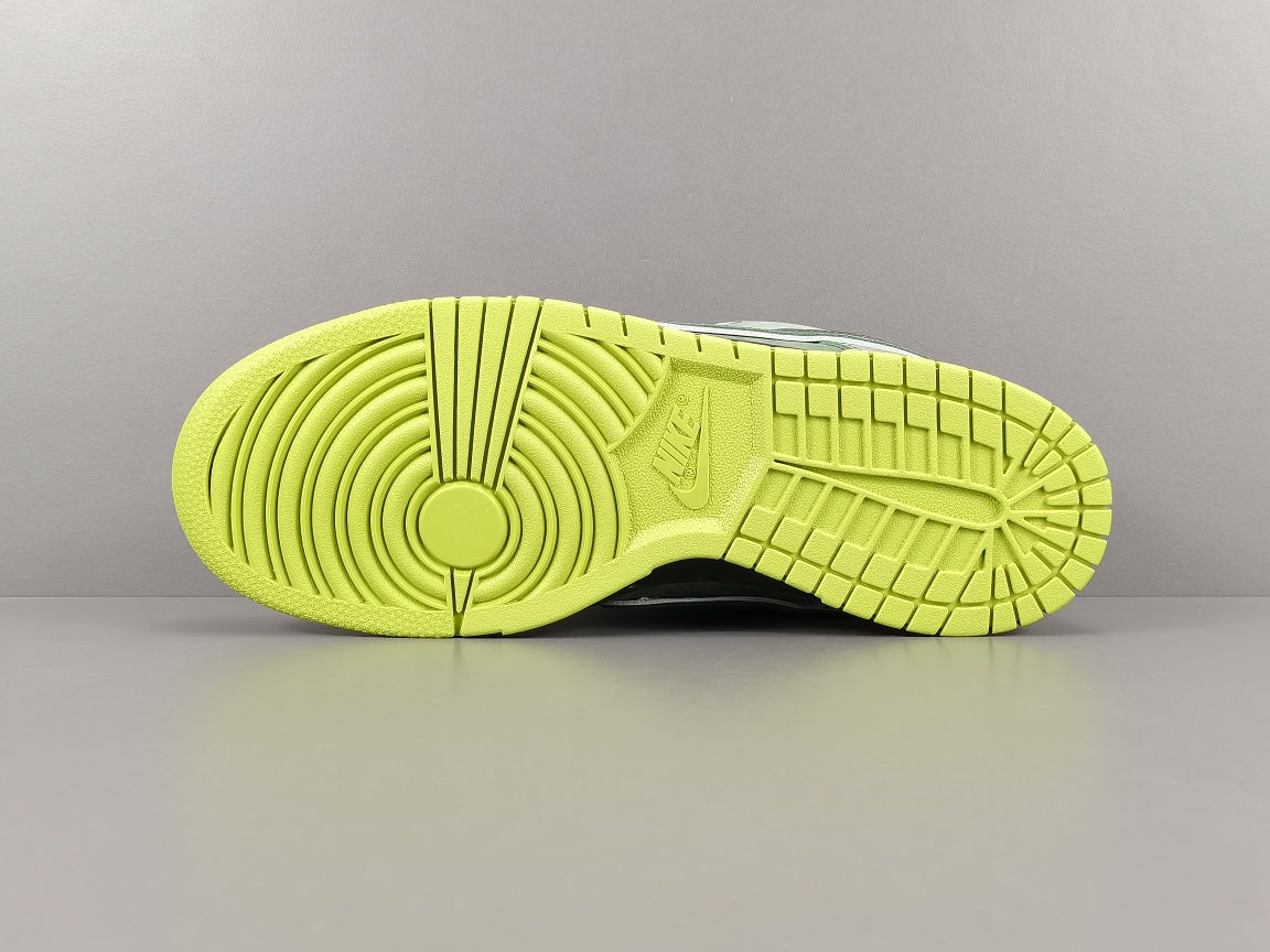 Concepts x NK SB Dunk Low