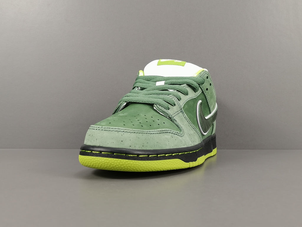 Concepts x NK SB Dunk Low