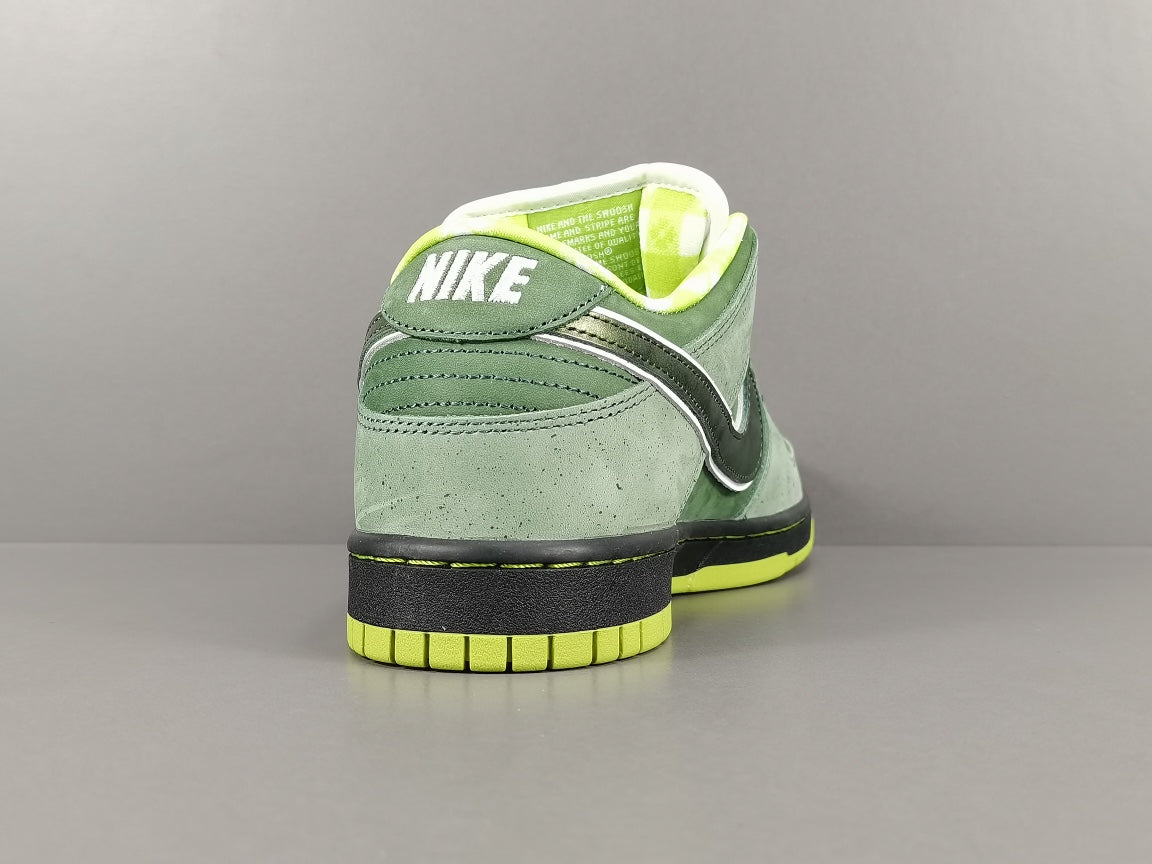 Concepts x NK SB Dunk Low