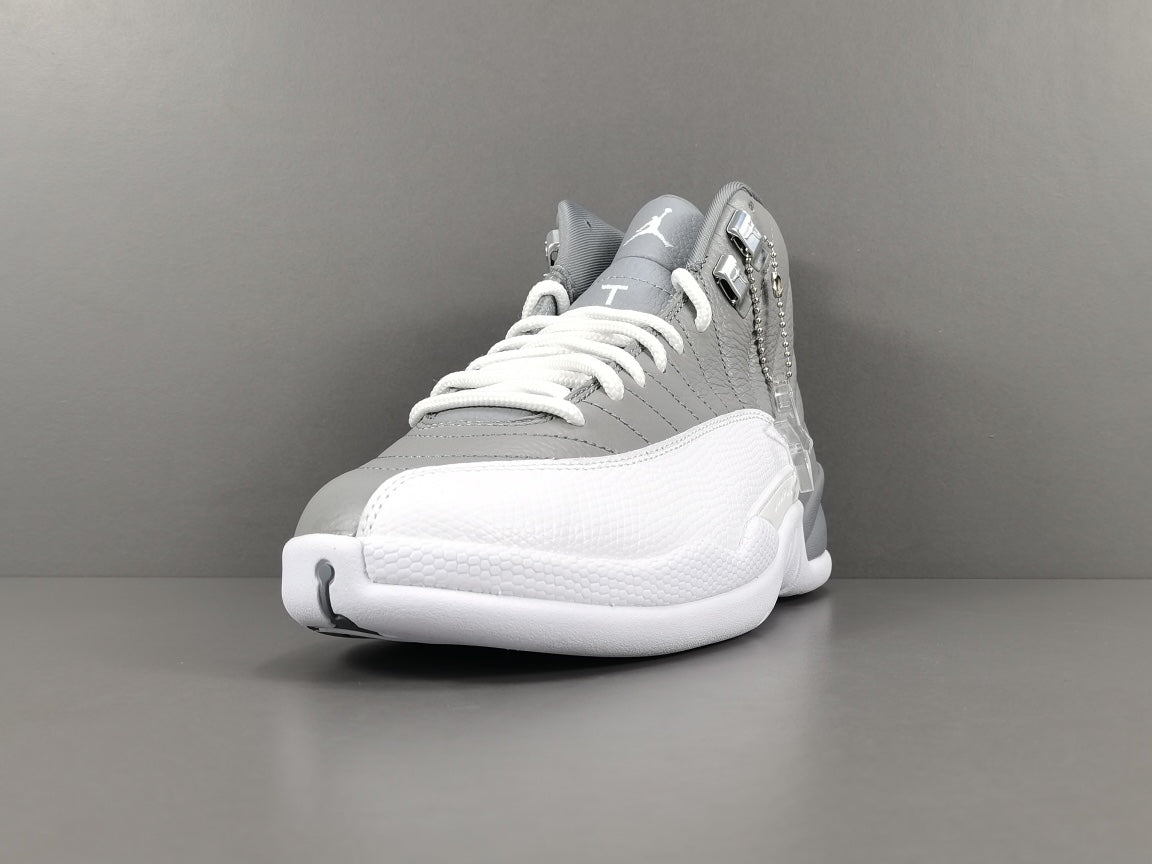 Jordan Air Jordan 12 retro "stealth "